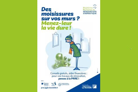 Des moisissures sur vos murs ? Menez-leur la vie dure !